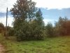 IMG_20140907_113922.jpg