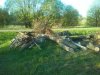 IMG_20150509_193342.jpg