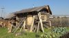 DSC03769.JPG